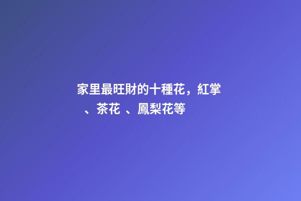 家里最旺財的十種花，紅掌、茶花、鳳梨花等